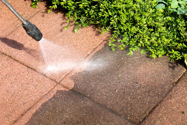 Professional Pressure Washing in Union Springs, NY