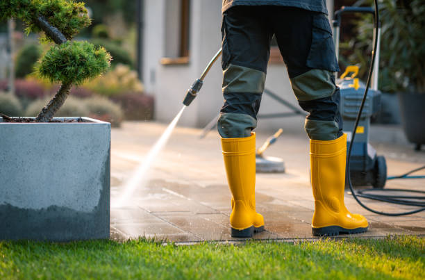 Best Affordable Power Washing  in Union Springs, NY